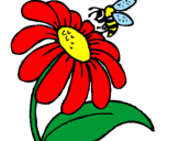 Dibuix Margarida amb abella pintat per gemma