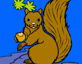 Dibuix Esquirol pintat per zaida