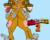 Dibuix Madagascar 2 Manson i Phil 2 pintat per marta  burgaya  bufi