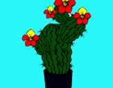 Dibuix Flors de cactus pintat per laura