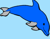 Dibuix Dofí content pintat per arnau