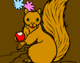 Dibuix Esquirol pintat per mireia b