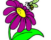 Dibuix Margarida amb abella pintat per mery novo