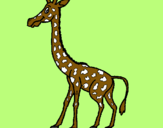 Dibuix Girafa pintat per MARGA