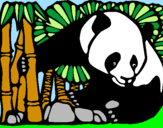 Dibuix Ós Panda i Bambú pintat per judit ferrer