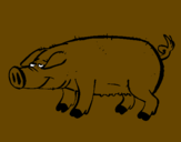 Dibuix Porc amb peülles negres  pintat per ARNAUVILASECA