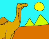 Dibuix Camell pintat per mimo