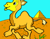 Dibuix Camell pintat per jofre basteiro