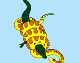 Dibuix Anaconda i caiman pintat per ARNAU CASTRO