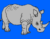 Dibuix Rinoceront pintat per ARNAU MEDINA