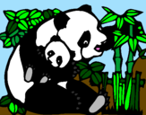 Dibuix Mare Panda pintat per jessica.