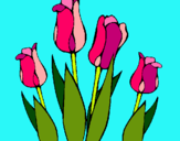 Dibuix Tulipes pintat per núria