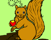 Dibuix Esquirol pintat per guillem