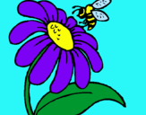 Dibuix Margarida amb abella pintat per Biel i Berta