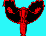 Dibuix Vagina pintat per miguelangel