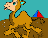 Dibuix Camell pintat per jasmit