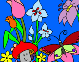 Dibuix Fauna i flora pintat per campo