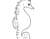 Dibuix Cavall de mar pintat per sarthd