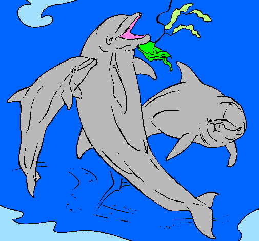 Dofins jugant