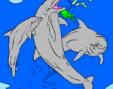 Dibuix Dofins jugant pintat per sandra