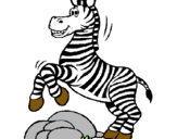Dibuix Zebra saltant pedres pintat per aida morillas castella