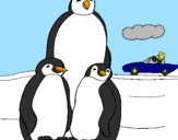 Dibuix Família pingüí  pintat per Biel