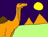 Dibuix Camell pintat per sira