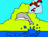 Dibuix Dofí i gavina pintat per BERTA