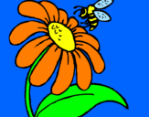 Dibuix Margarida amb abella pintat per Kristina