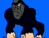 Dibuix Goril·la pintat per iker