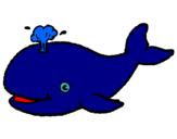 Dibuix Balena expulsant aigua pintat per anna diana