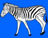 Dibuix Zebra pintat per FERRAN