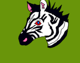 Dibuix Zebra II pintat per anònim
