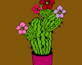 Dibuix Flors de cactus pintat per CRISTIINA