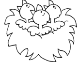 Dibuix Niu d'ocells pintat per SERGI ANDUJAR