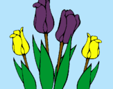 Dibuix Tulipes pintat per Biel i Berta