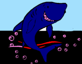 Dibuix Tiburón pintat per Jakob