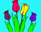 Dibuix Tulipes pintat per MEC,LES,MILLORS