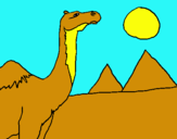 Dibuix Camell pintat per tomeu