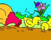 Dibuix Gallina i pollets pintat per campo
