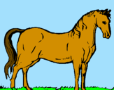 Dibuix Cavall andalús  pintat per sandrahomspicañol