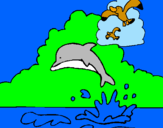 Dibuix Dofí i gavina pintat per sergi