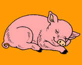 Dibuix Porc dormint pintat per nati