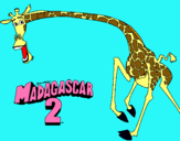 Dibuix Madagascar 2 Melman 2 pintat per claudia