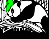 Dibuix Ós panda menjant pintat per marcel andreu