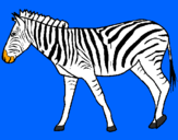 Dibuix Zebra pintat per gal.la