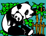 Dibuix Mare Panda pintat per sara soy florido