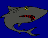 Dibuix Tiburón pintat per diamate