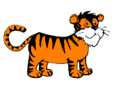 Dibuix Tigre pintat per carles fradera