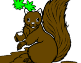 Dibuix Esquirol pintat per stefano